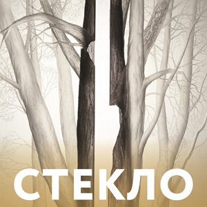 Выставка «Стекло» Александра Фокина в Российской академии художеств