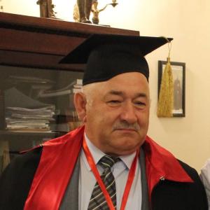 К 70-летию почетного члена РАХ Владимира Стефановича Вагина