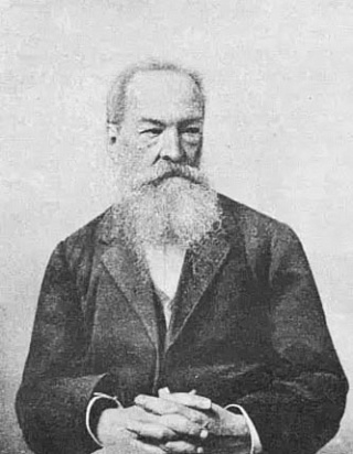 ВАСИЛЬЕВ Михаил Николаевич (1830-1900)