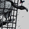Выставка «Книжная иллюстрация» Сергея Айнутдинова и Владимира Зуева в Екатеринбурге