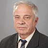 К 75-летию почётного члена РАХ Александра Александровича Старикова