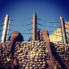 «Московский созерцатель». Выставка фотографии Марии Вяжевич в Библиотеке РАХ.