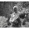 К 120-летию со дня рождения А.А.Пластова (1893-1972)