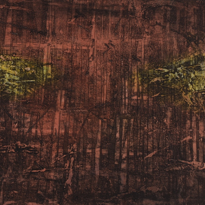 М.Г. Старостин (1959-2026). Старая изгородь. 2005 г. Бумага, цветной офорт, акватинта. Государственное автономное учреждение культуры Новосибирской области «Новосибирский государственный художественный музей»
