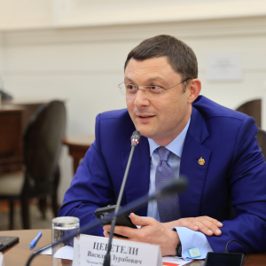 Итоги конкурса и выставка проектов на концепцию Музейного комплекса «Парк искусств Зураба Церетели» в Сочи и Москве. Фоторепортаж: Виктор Берёзкин, пресс-служба РАХ.