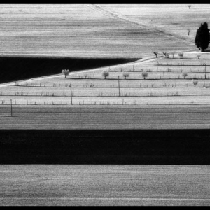 Фотовыставки произведений Фрэнка Дитури «Шептать», Элио Чоль «Плотность тишины» в МВК РАХ, 2011