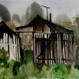 Е.Д.Чернышева-Черна. После дождя (на Красной поляне). 1972. Б., акварель, 50х71.