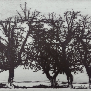 Н. Завалишина «Четыре дерева» (из серии «Неизвестная дорога»). 2022  Офорт. 38 × 70 см