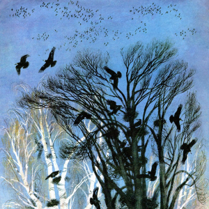 Н.А. Устинов (1937-2023). Иллюстрации к книге Ю. Коваля. «Весеннее небо. Рассказы». Издательство Детская литература, 1974 г.