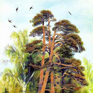 Н.А. Устинов (1937-2023). Иллюстрации к книге Ю. Коваля. «Весеннее небо. Рассказы». Издательство Детская литература, 1974 г.